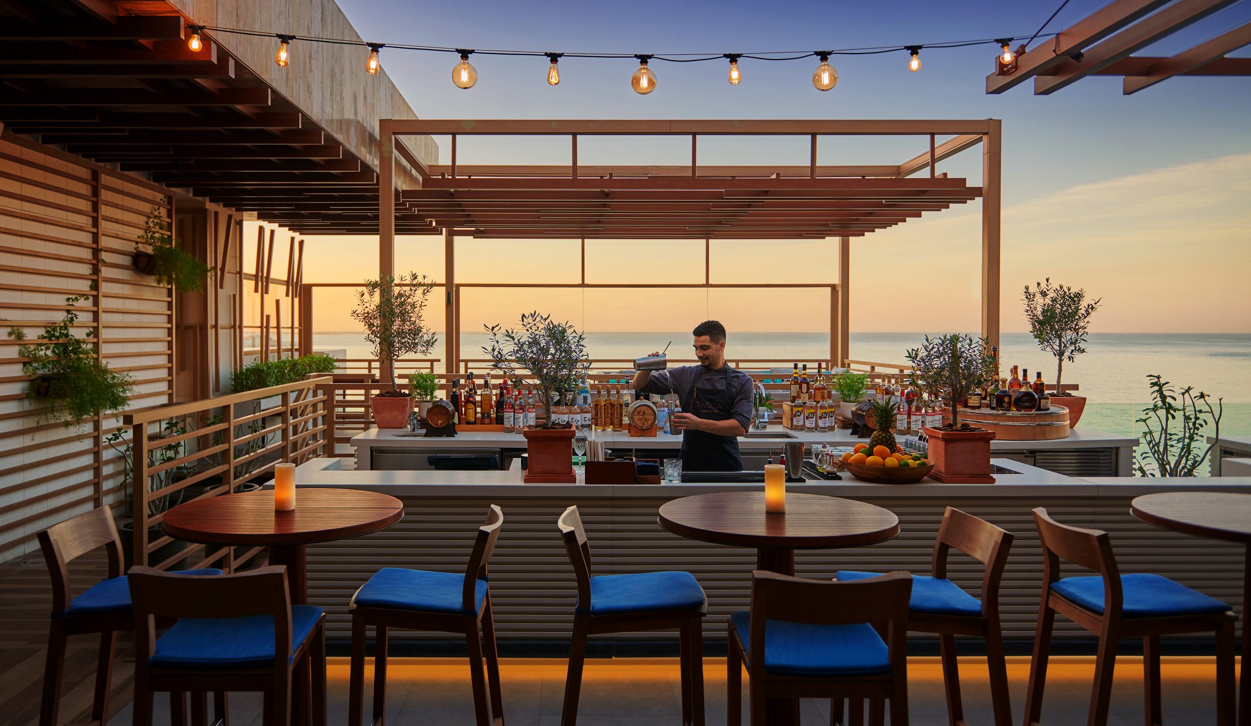 Dubai's Best Bars