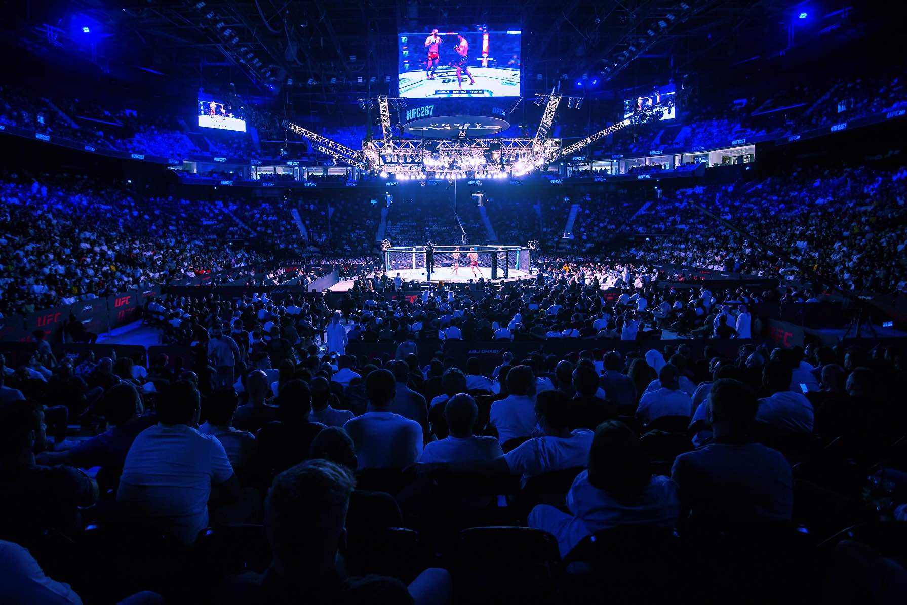UFC 308