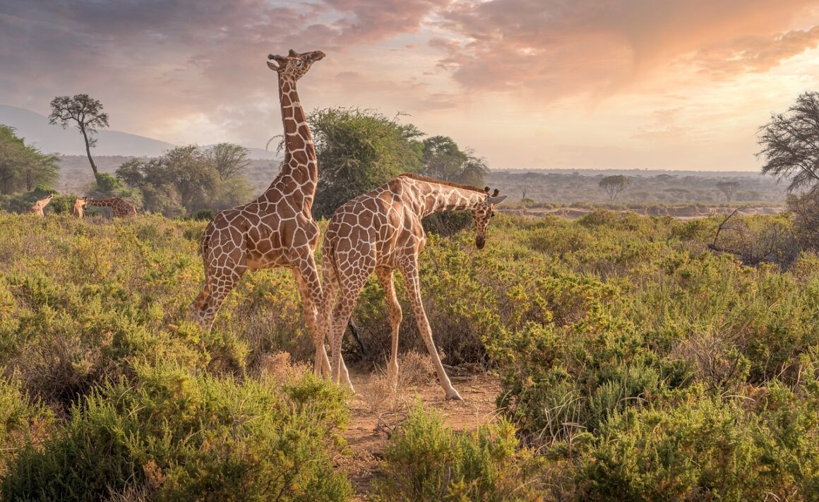 travel destinations with kids