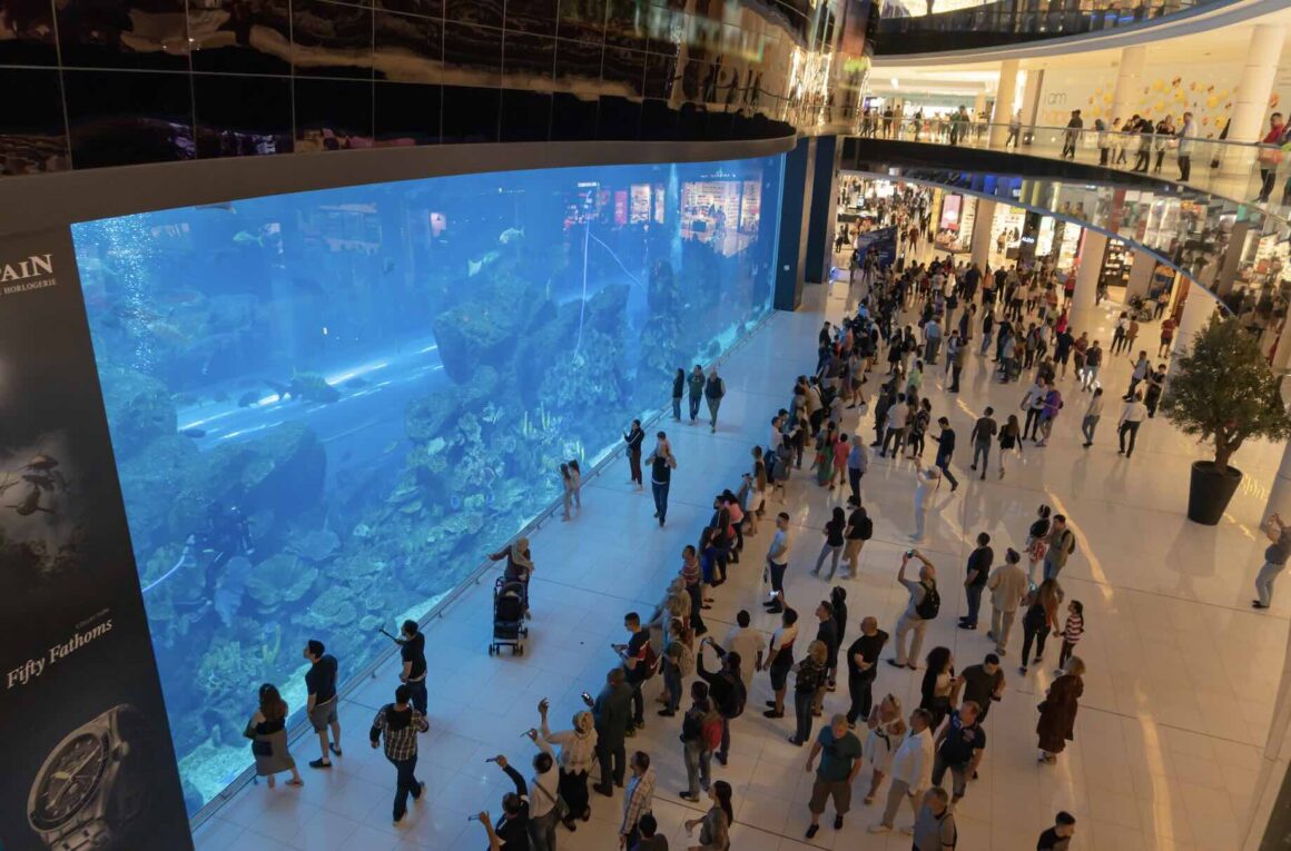 Dubai Mall Aquarium