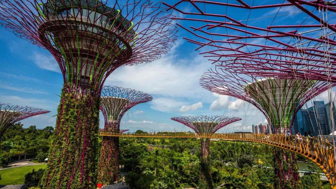 Gardens by the bay