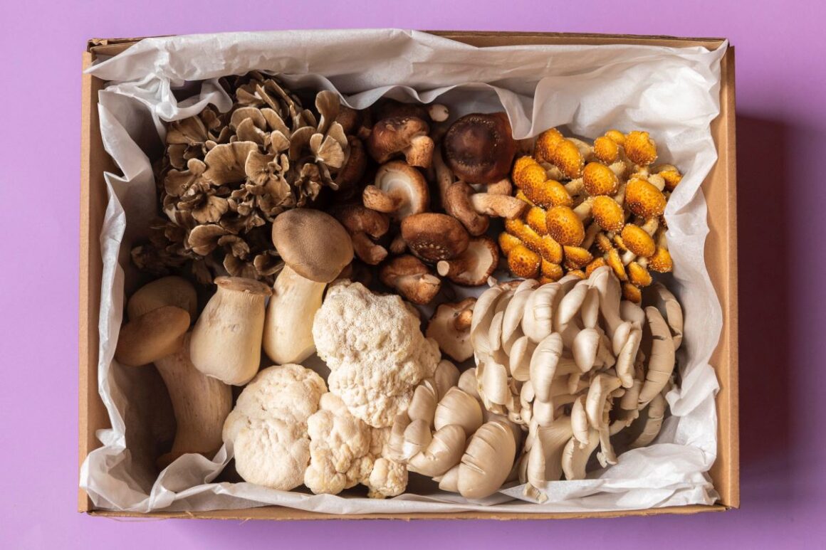 Mixed-Mushroom-Box-by-Below-Farm-2024.-Courtesy-of-What-The-Food