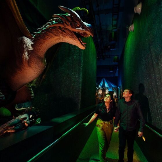 Harry Potter™ The Exhibition
