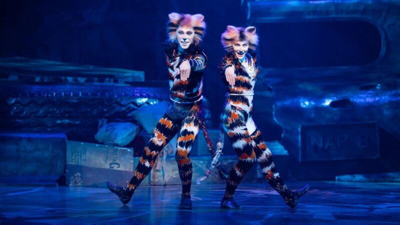 CATS The Musical Abu Dhabi