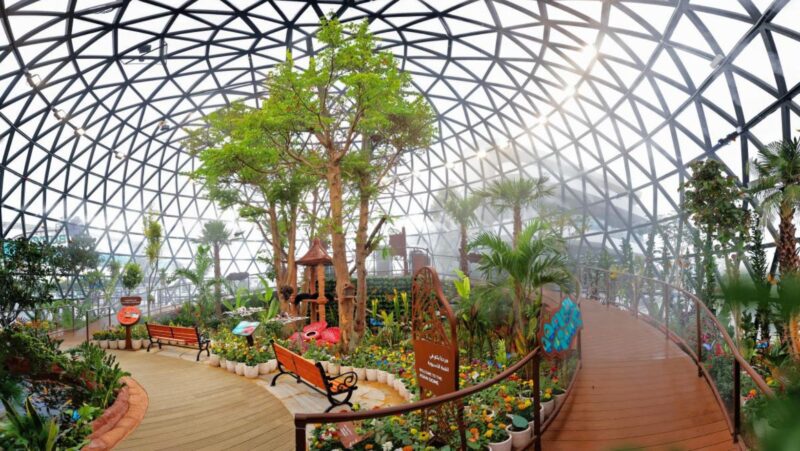 The Butterfly Gardens Abu Dhabi